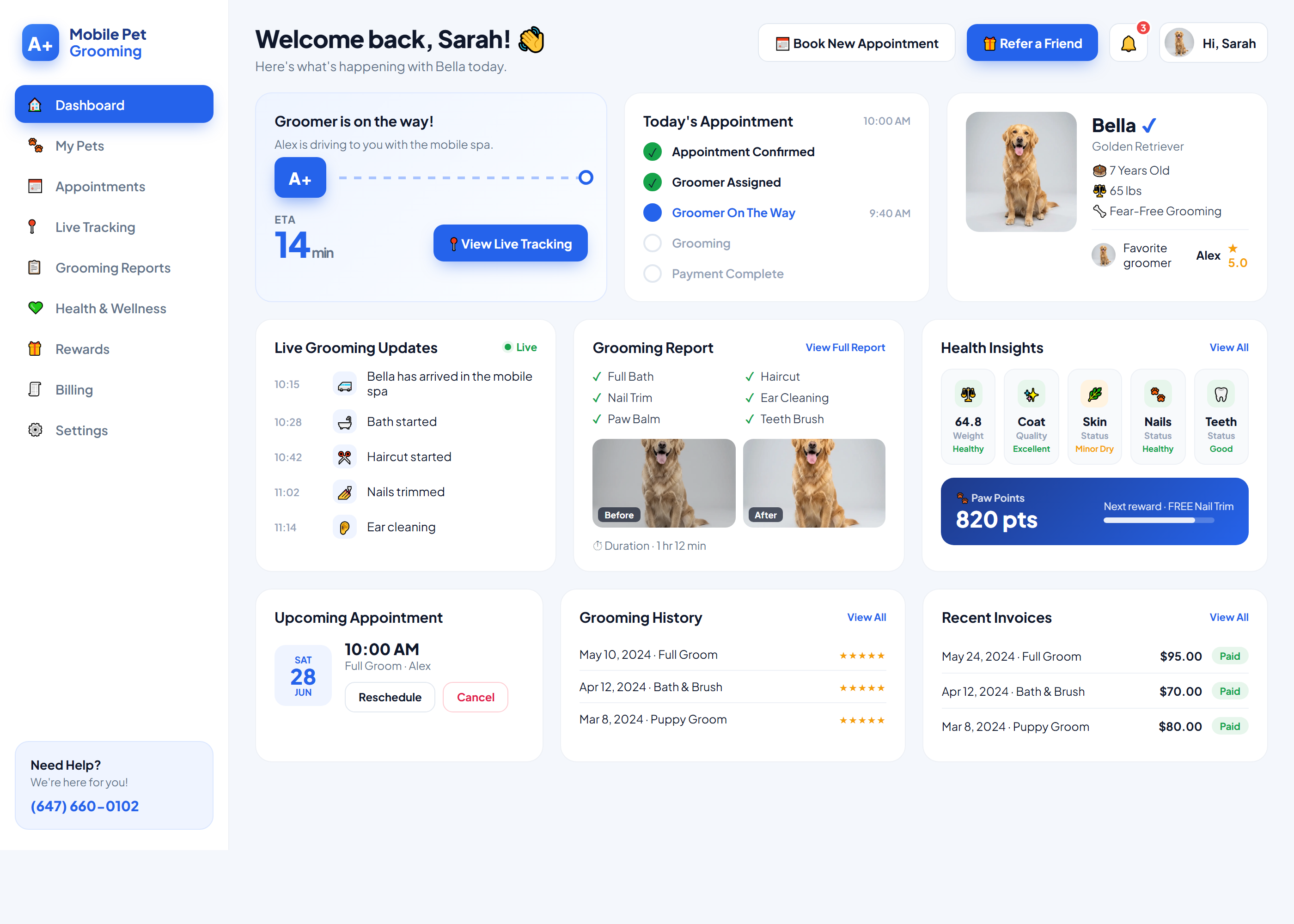 A Plus customer dashboard
