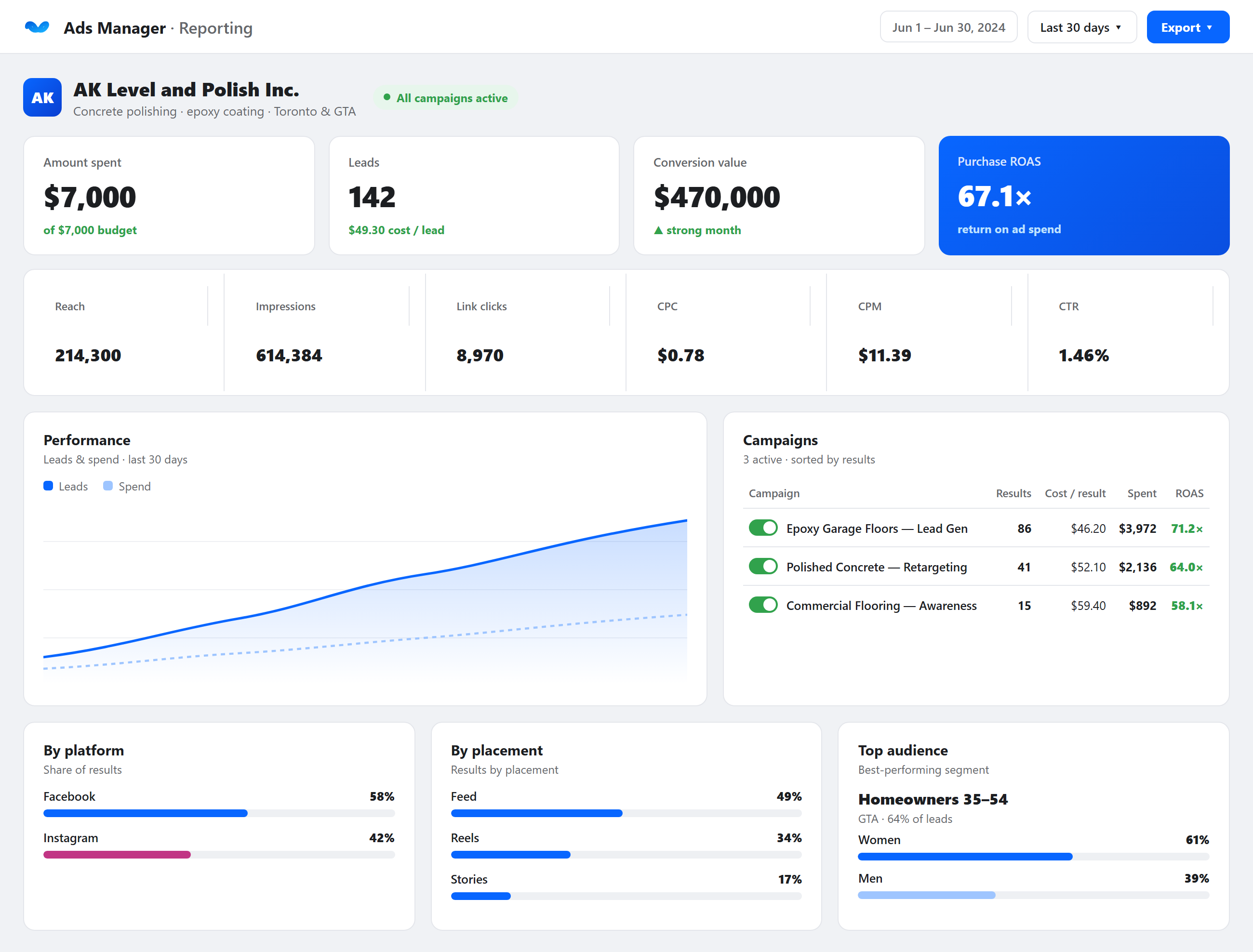 AK Level and Polish Meta Ads dashboard