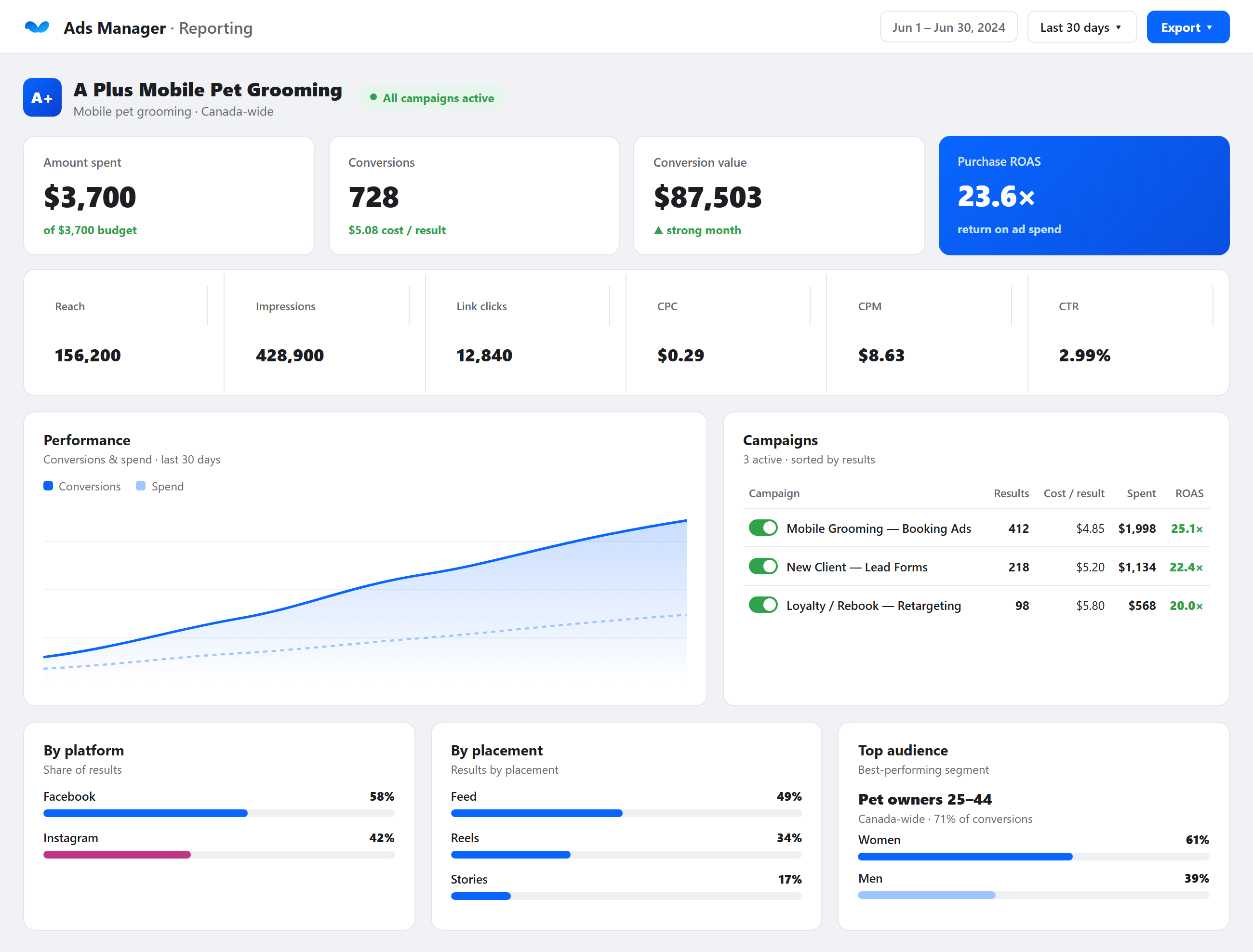 A Plus Meta Ads dashboard